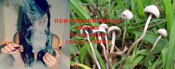 хмурый Балахна