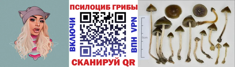 hydra онион  Сердобск  Галлюциногенные грибы мухоморы 